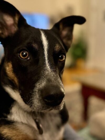 Play Wash Stay - Chattanooga, TN