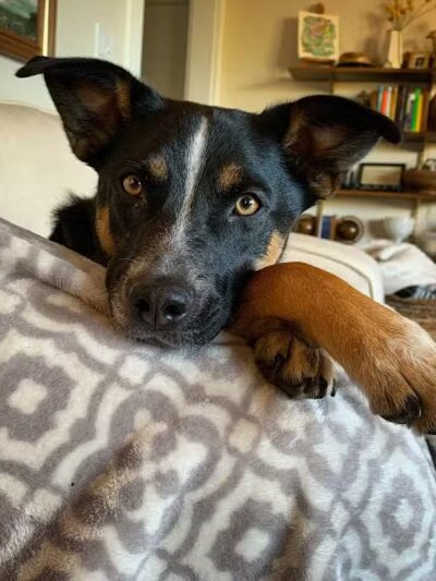 Play Wash Stay - Chattanooga, TN