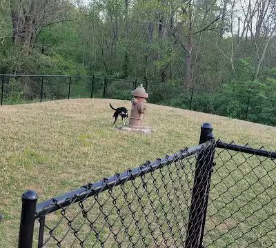 St Elmo South Dog Park - Chattanooga, TN