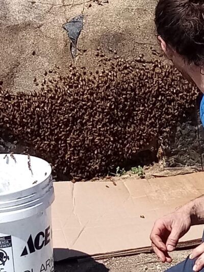 Tatum Park - Chattanooga, TN