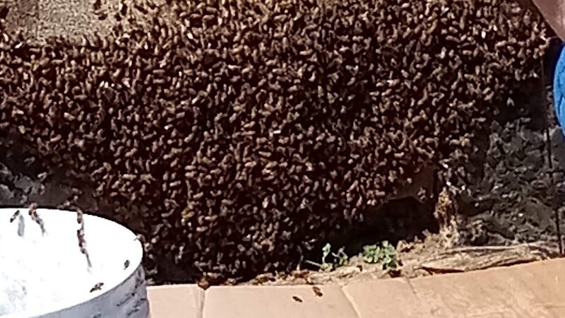 Tatum Park - Chattanooga, TN