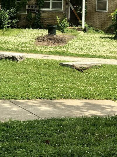 Tatum Park - Chattanooga, TN