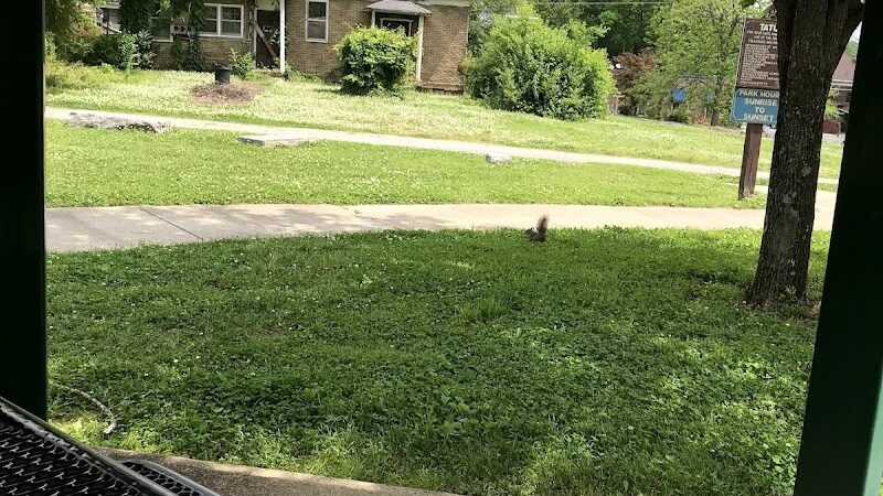 Tatum Park - Chattanooga, TN