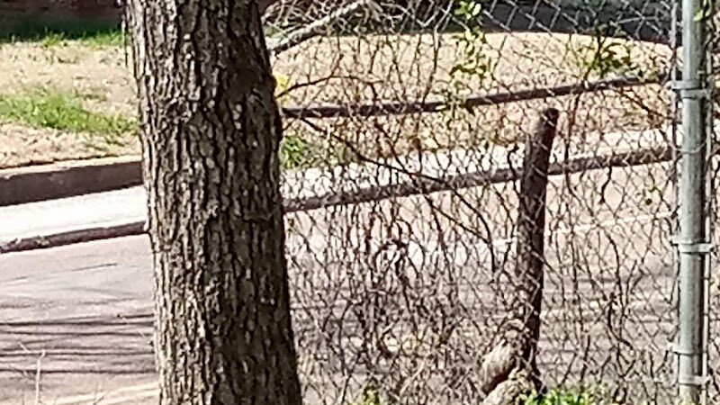 Tatum Park - Chattanooga, TN