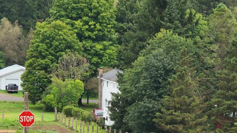 Cherry Creek Campground and Recreation - Cherry Creek, NY