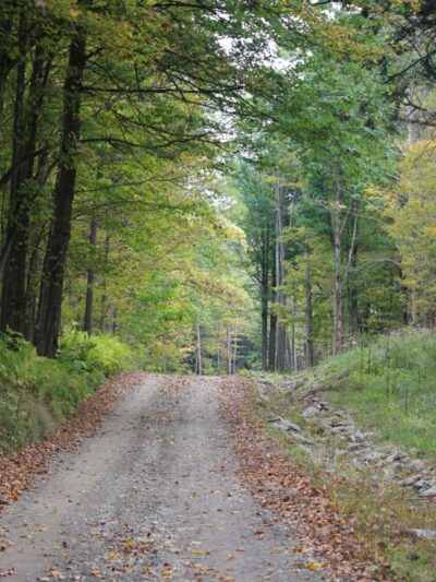 Cherry Creek Campground and Recreation - Cherry Creek, NY