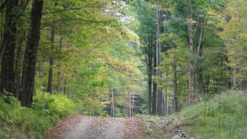 Cherry Creek Campground and Recreation - Cherry Creek, NY