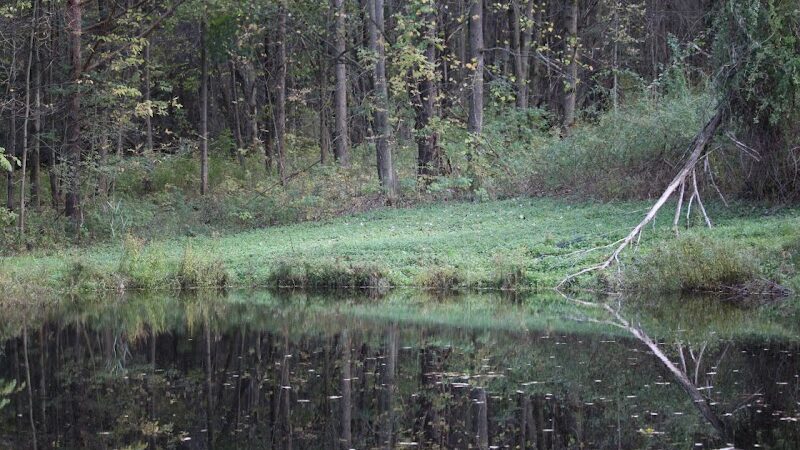Cherry Creek Campground and Recreation - Cherry Creek, NY