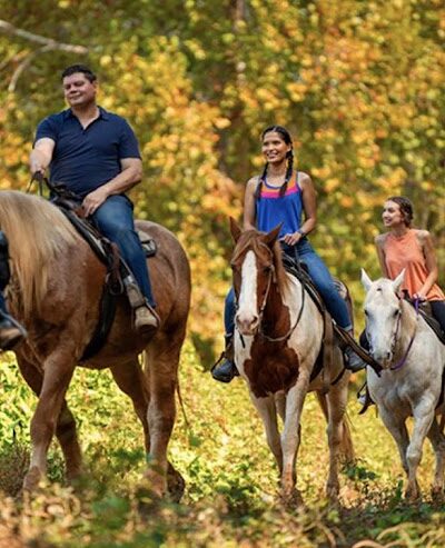 Cherry Creek Campground and Recreation - Cherry Creek, NY