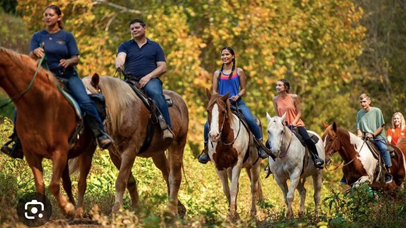 Cherry Creek Campground and Recreation - Cherry Creek, NY