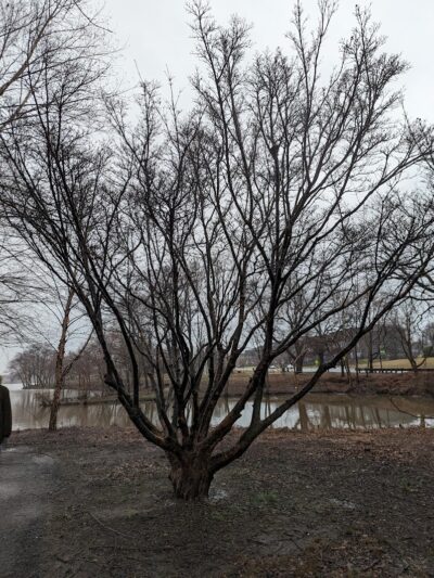 Cooper River Park - Cherry Hill Township, NJ