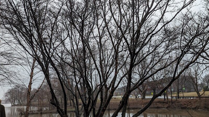 Cooper River Park - Cherry Hill Township, NJ