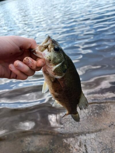 Cooper River Park - Cherry Hill Township, NJ