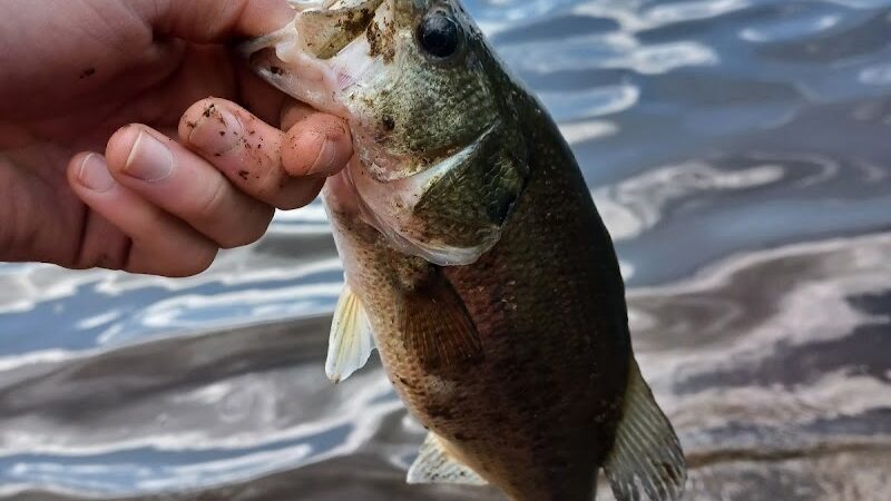 Cooper River Park - Cherry Hill Township, NJ