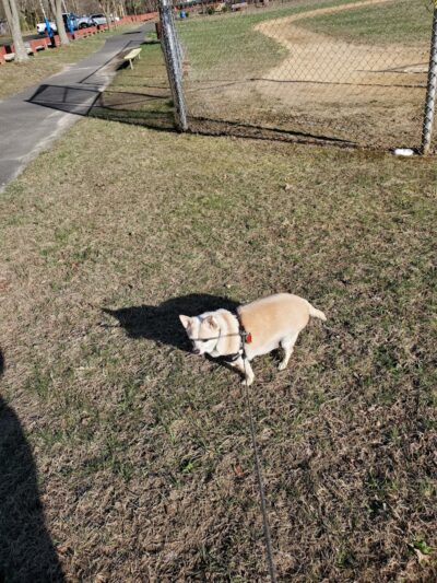 Leanna Harris Park - Chesilhurst, NJ