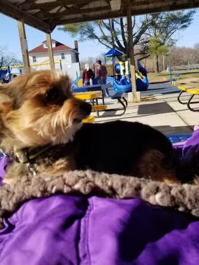 Leanna Harris Park - Chesilhurst, NJ