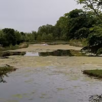 Fenton Lane Park - Chesterfield, NJ