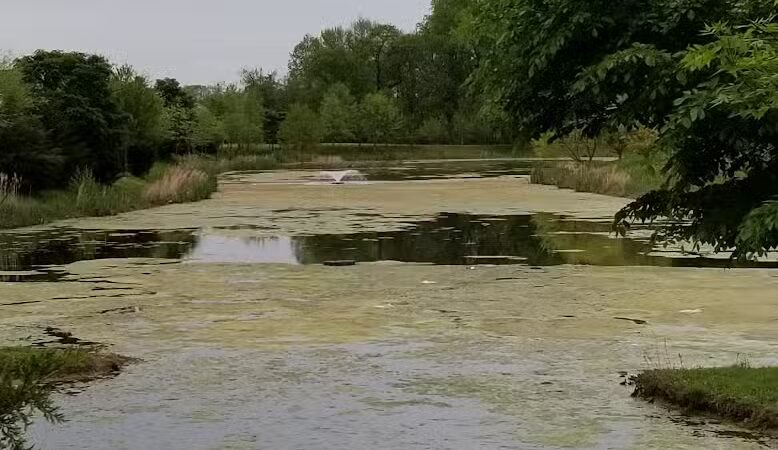 Fenton Lane Park - Chesterfield, NJ