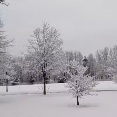 Fenton Lane Park - Chesterfield, NJ