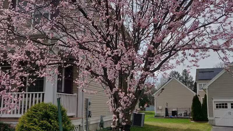 Fenton Lane Park - Chesterfield, NJ