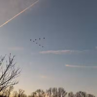 Fenton Lane Park - Chesterfield, NJ