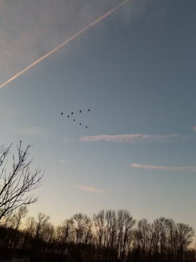 Fenton Lane Park - Chesterfield, NJ