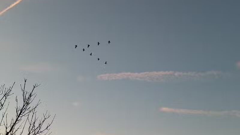 Fenton Lane Park - Chesterfield, NJ