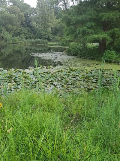 Coffee Creek Park - Chesterton, IN