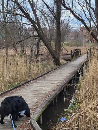 Coffee Creek Park - Chesterton, IN