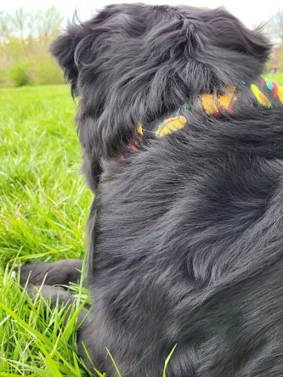 Coffee Creek Park - Chesterton, IN