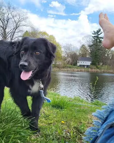 Coffee Creek Park - Chesterton, IN