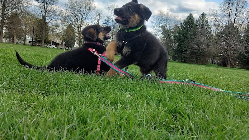 Dogwood Soccer Fields - Chesterton, IN