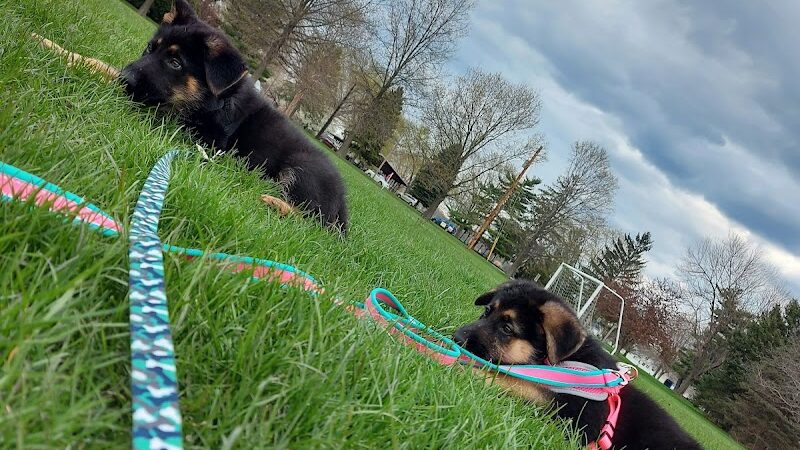 Dogwood Soccer Fields - Chesterton, IN