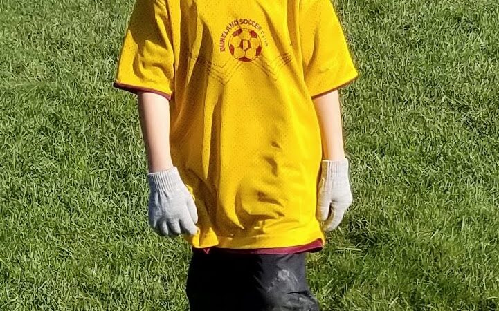 Dogwood Soccer Fields - Chesterton, IN