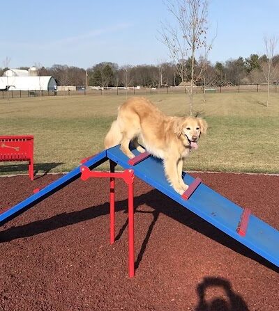 Auggie Land - Chetek, WI