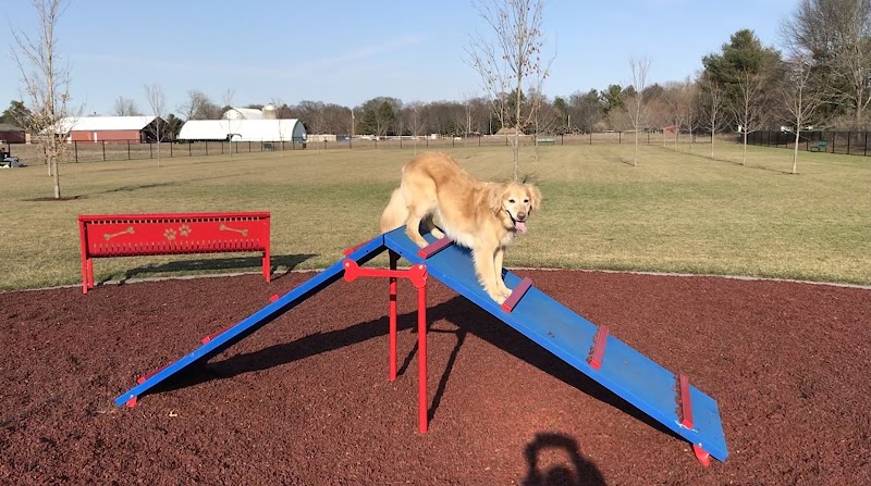 Auggie Land - Chetek, WI