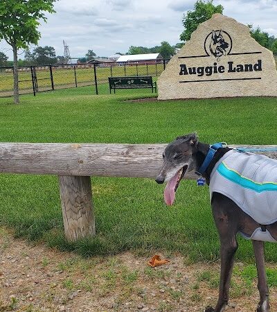 Auggie Land - Chetek, WI