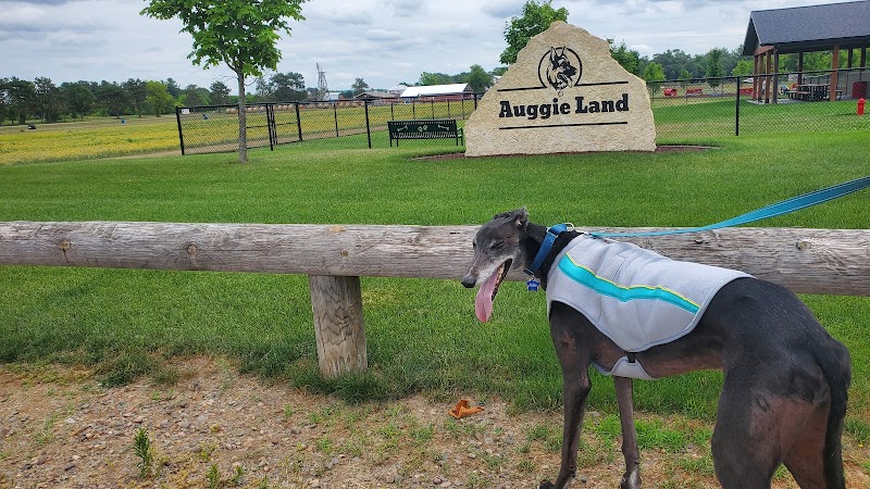 Auggie Land - Chetek, WI