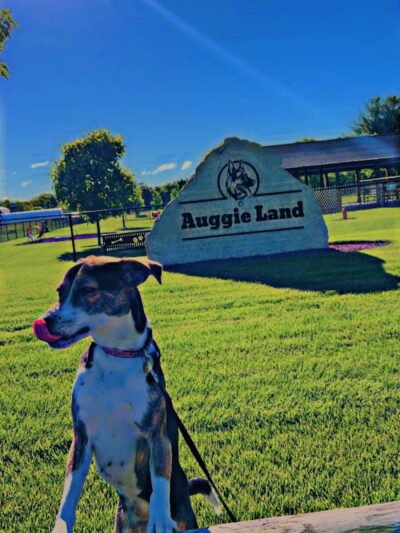 Auggie Land - Chetek, WI