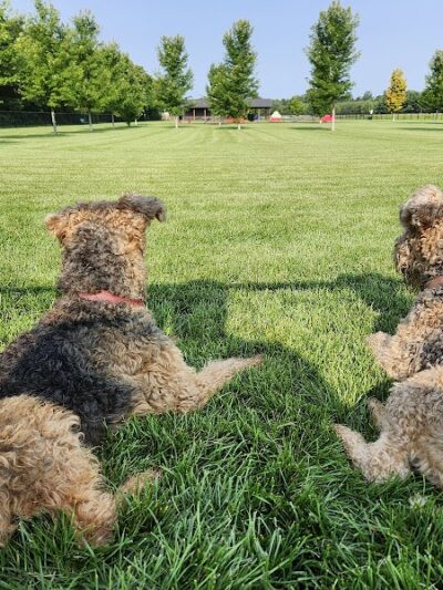 Auggie Land - Chetek, WI