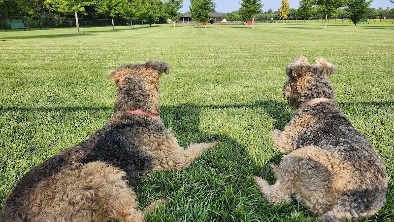 Auggie Land - Chetek, WI