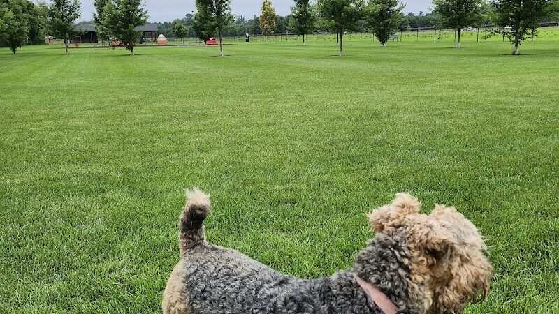 City of Chetek Dog Park - Chetek, WI