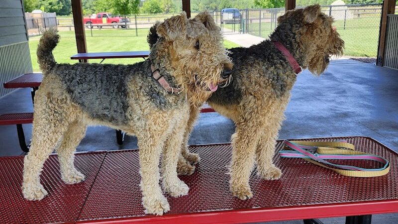 City of Chetek Dog Park - Chetek, WI