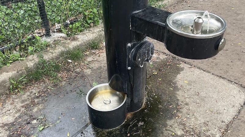 Calumet Bark - Chicago, IL