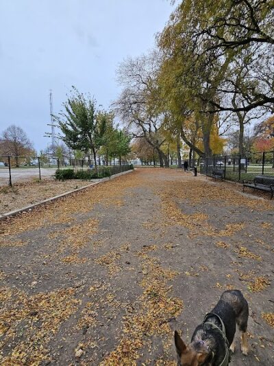 Calumet Bark - Chicago, IL