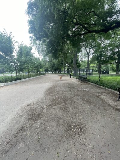 Calumet Bark - Chicago, IL