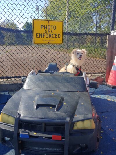 Jackson Bark - Chicago, IL