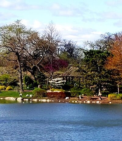 Jackson Bark - Chicago, IL