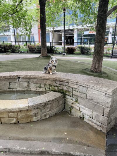 Lakeshore East Dog Park - Chicago, IL
