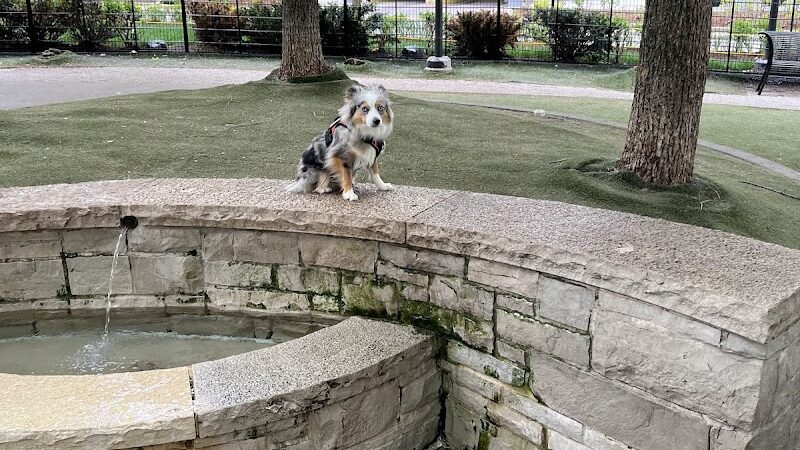 Lakeshore East Dog Park - Chicago, IL